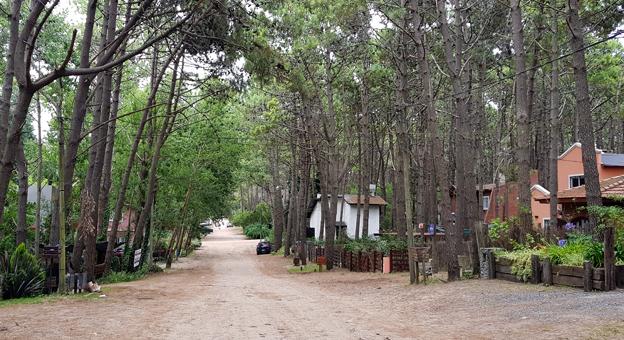 Fauna de la zona
